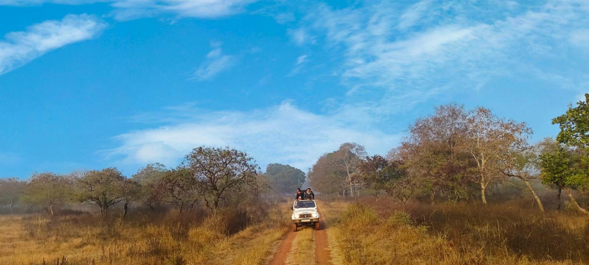 Gurla Gandhisagar Forest Retreat酒店 外观 照片